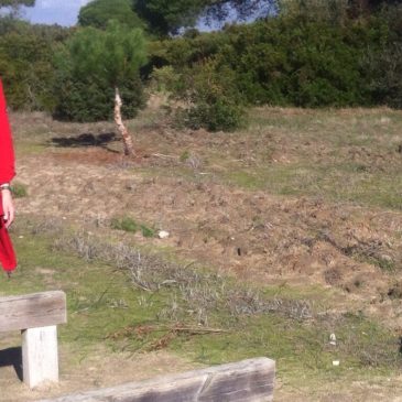 Un paseo peligroso
